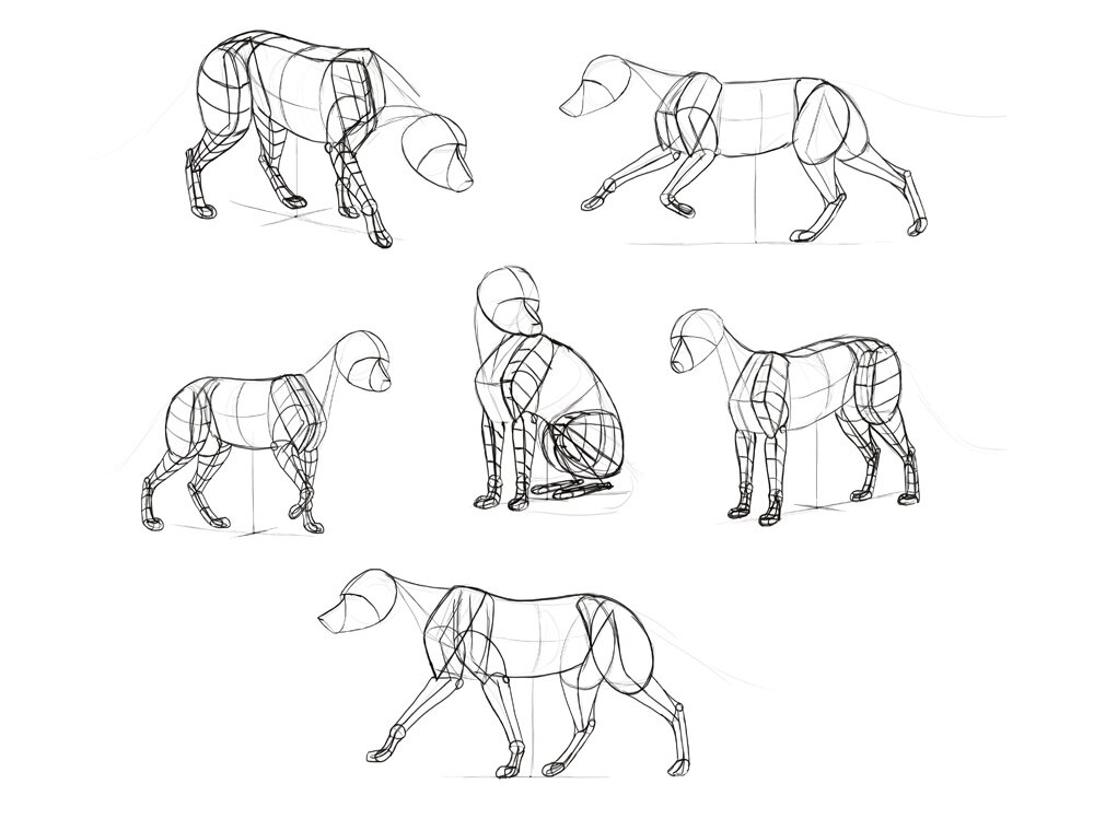 How to draw a fox. Смотреть фото How to draw a fox. Смотреть картинку How to draw a fox. Картинка про How to draw a fox. Фото How to draw a fox