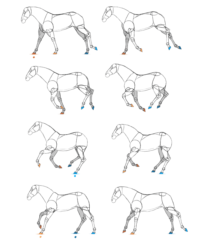 animated horses to draw