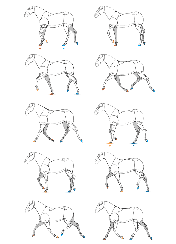 horse trot cycle