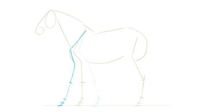 horse walking animation