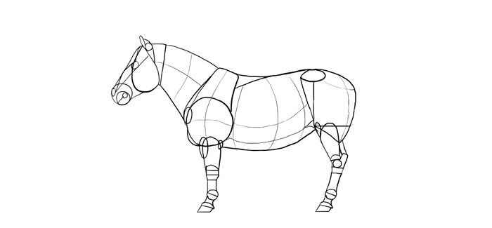 how-to-draw-horses-breeds-5-shetland-1