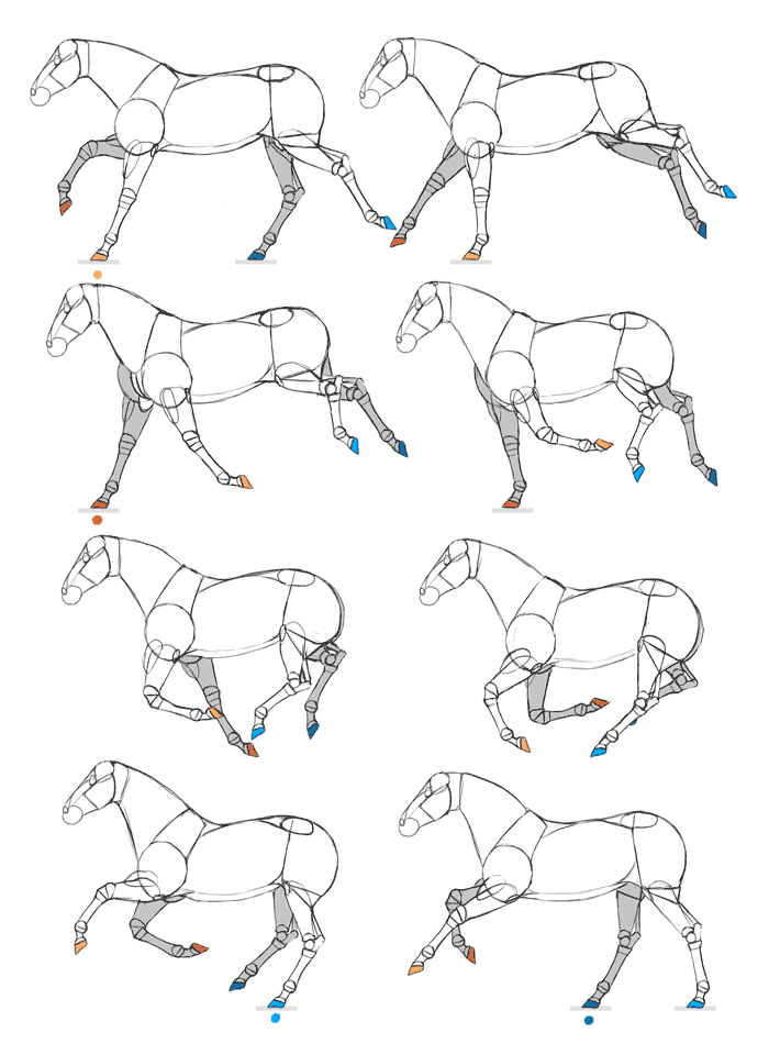 SketchBook Original How To Animate Horses Monika Zagrobelna
