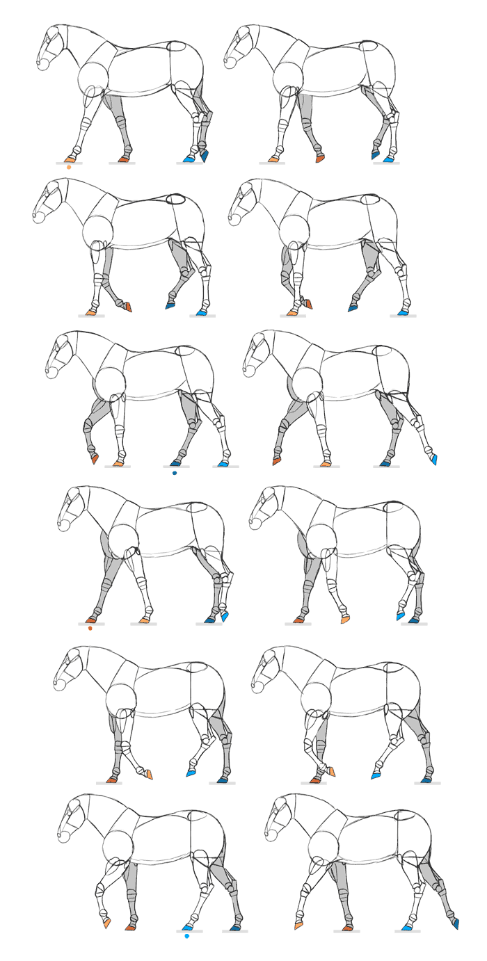 horse walking animation