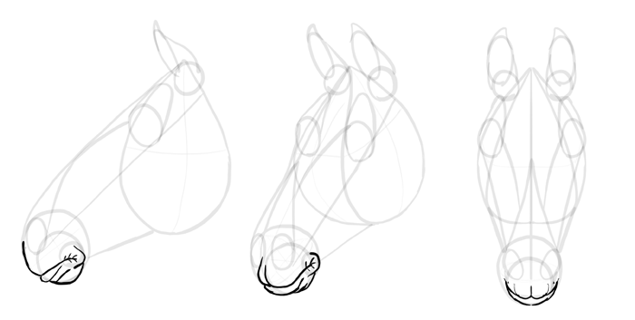 How To Draw A Horse Head Easy Step By Step