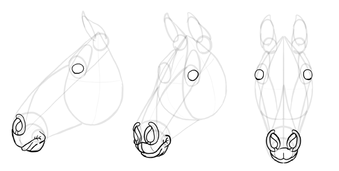 how-to-draw-horses-head-16