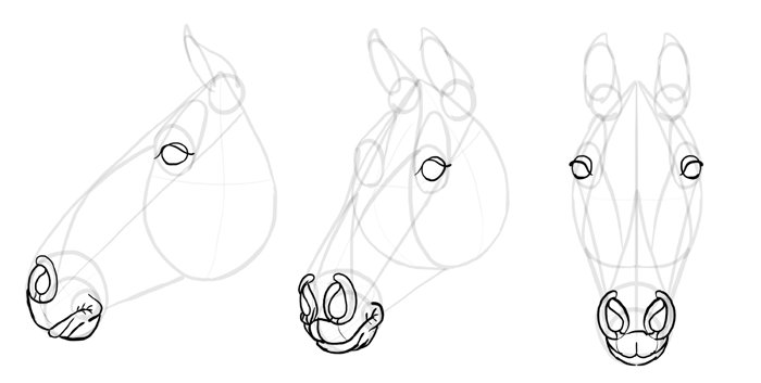 how-to-draw-horses-head-17