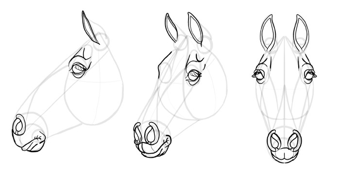 how-to-draw-horses-head-24