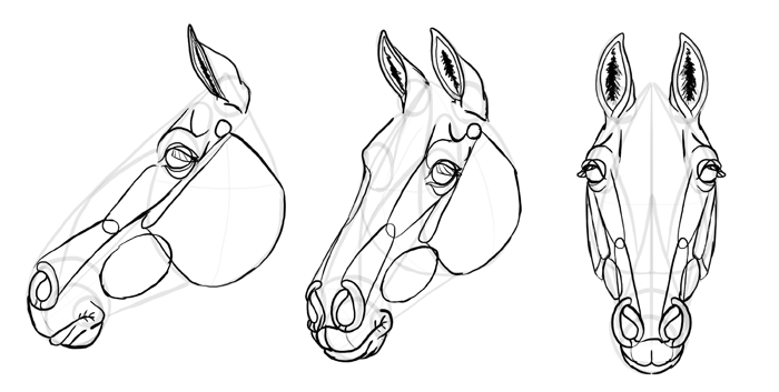 how-to-draw-horses-head-29