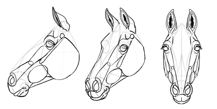 drawings of horses heads