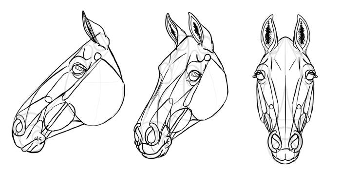 Horse Drawing for Kids - HelloArtsy