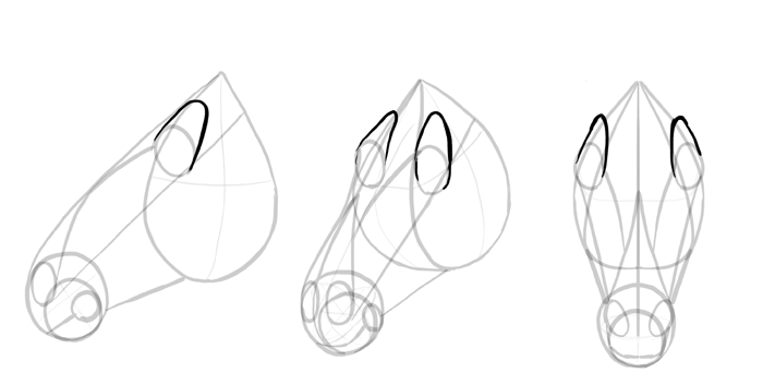 how-to-draw-horses-head-9