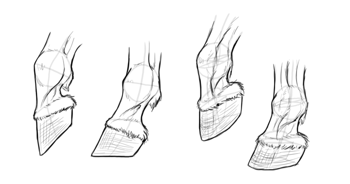 horse hooves drawing