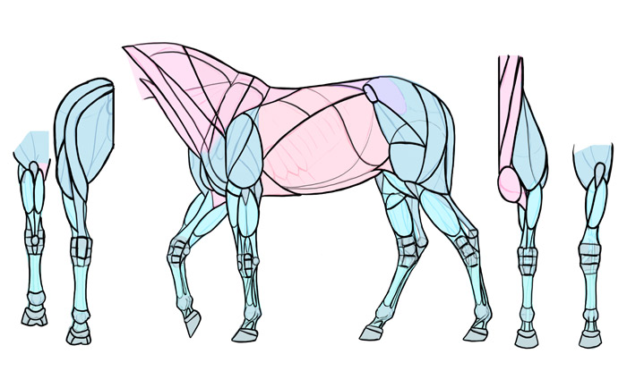 Don't worry if you can't remember the small parts in joints—you can simply draw the simplified joints you have learned in the previous tutorial