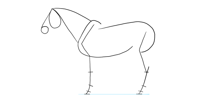 how-to-draw-horses-proportions-4