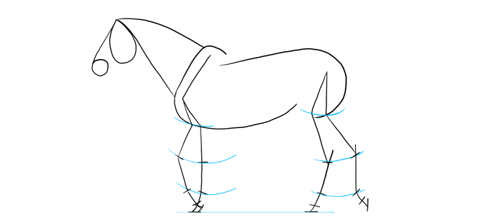 how-to-draw-horses-proportions-5