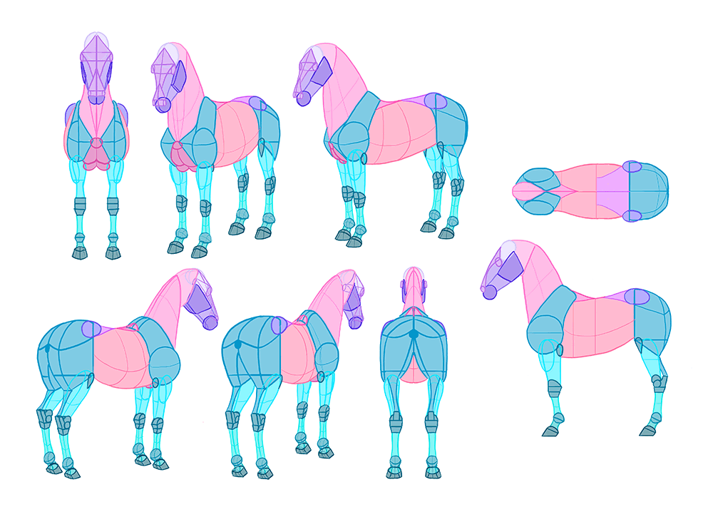 Cute horses in various poses design Royalty Free Vector