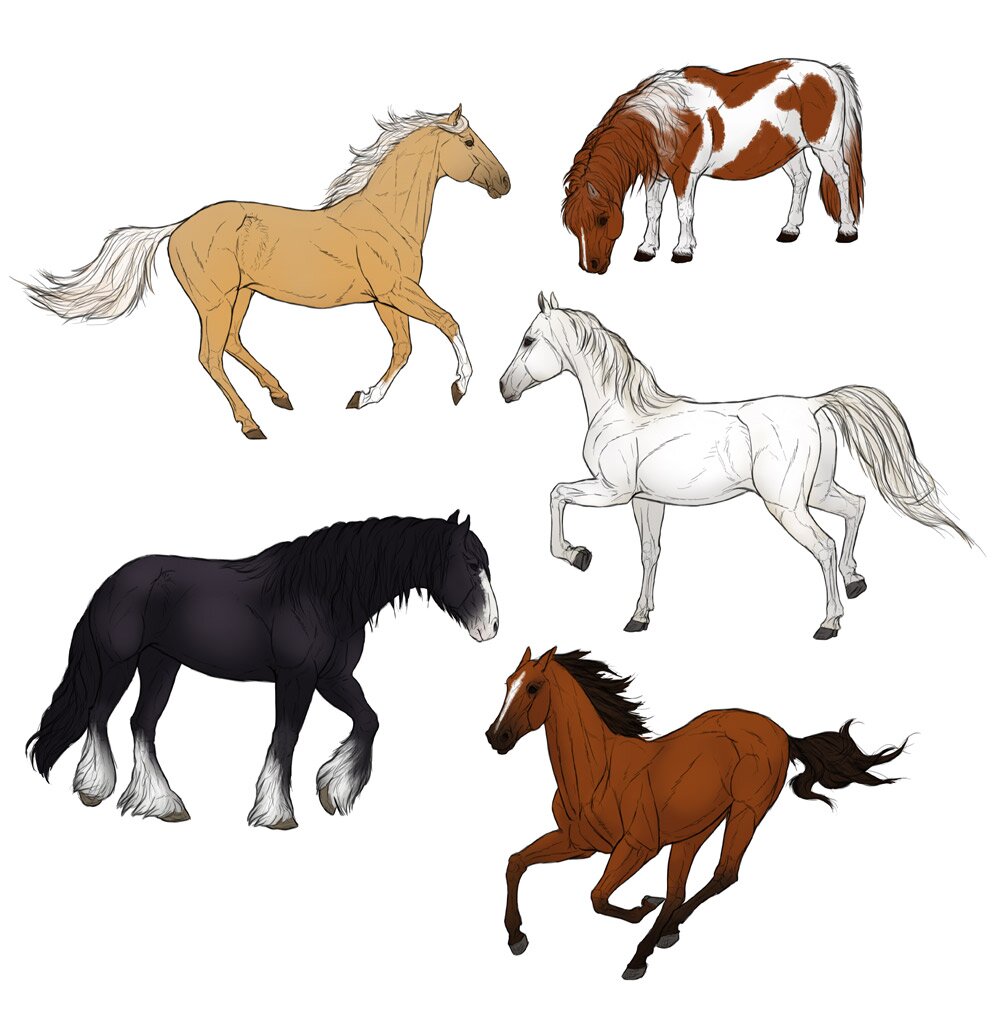 how-to-draw-horses-step-by-step-10