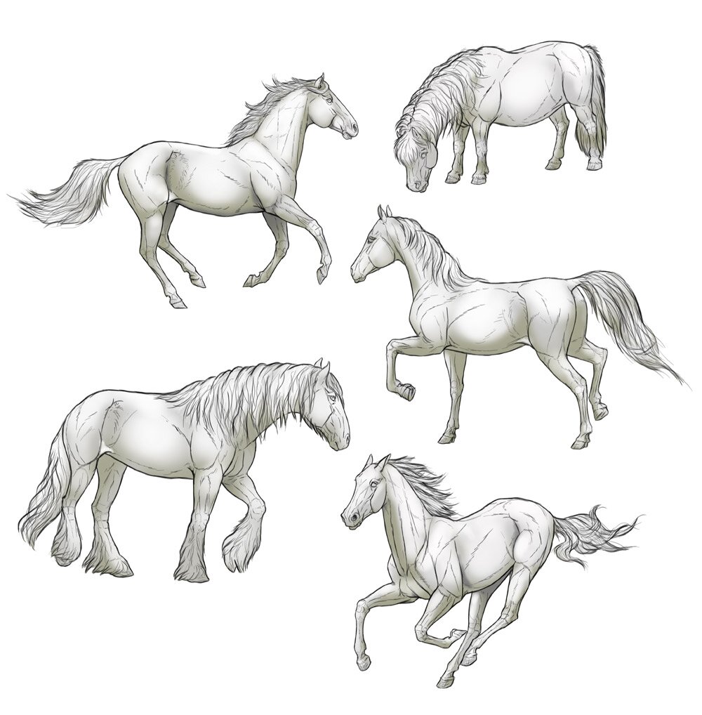 how to draw a horse step by step realistic easy