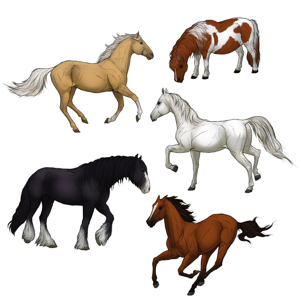 how to draw a horse step by step realistic easy