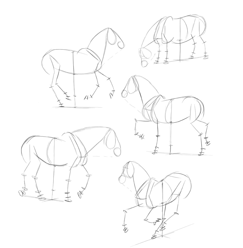 Free How To Draw A Mustang Horse, Download Free How To Draw A Mustang Horse  png images, Free ClipArts on Clipart Library