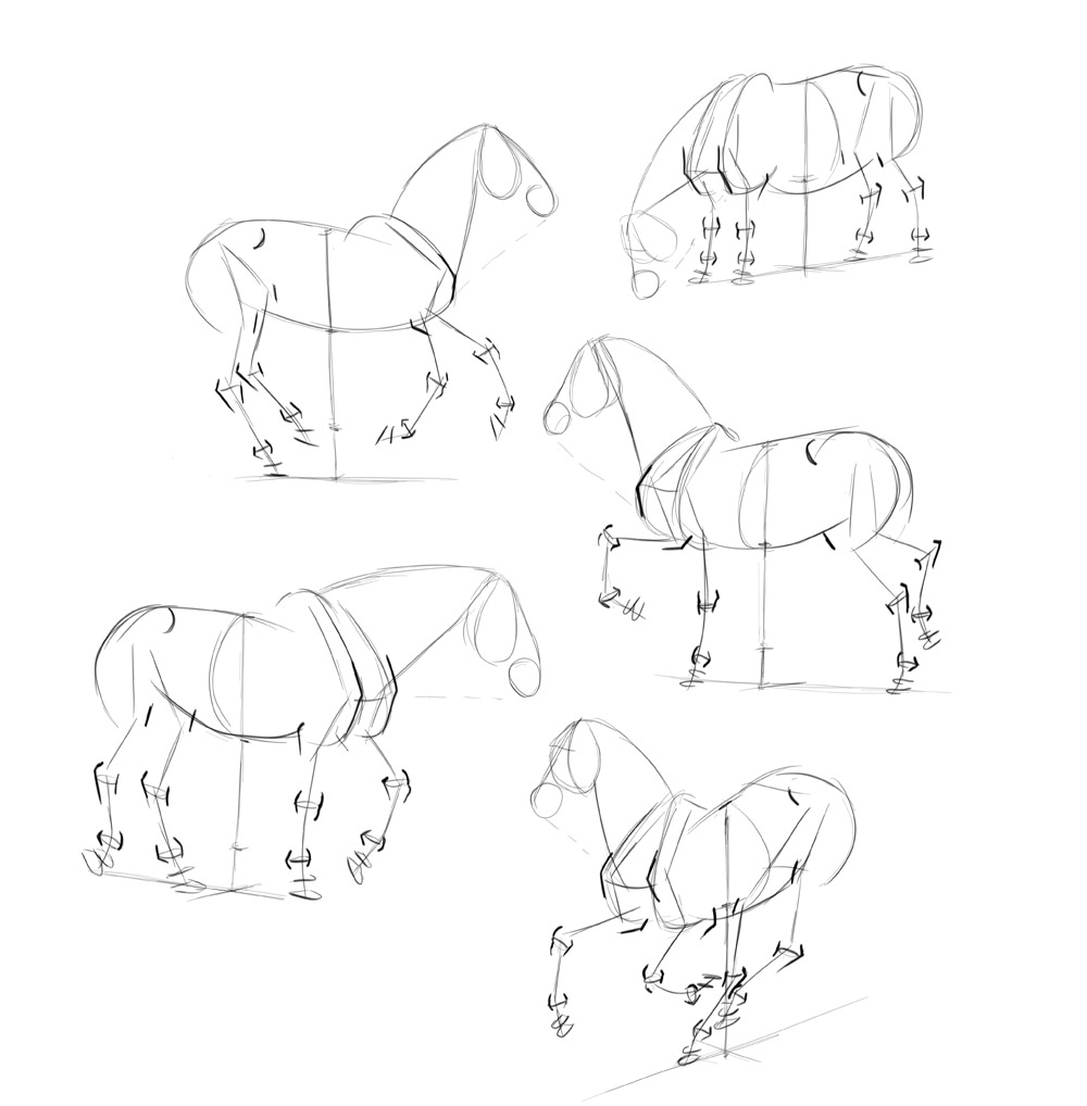 Horse Line Drawing Tutorial Step By Step Instructions