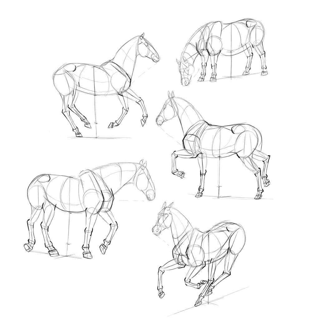 SketchBook Original How to Draw Horses Monika Zagrobelna