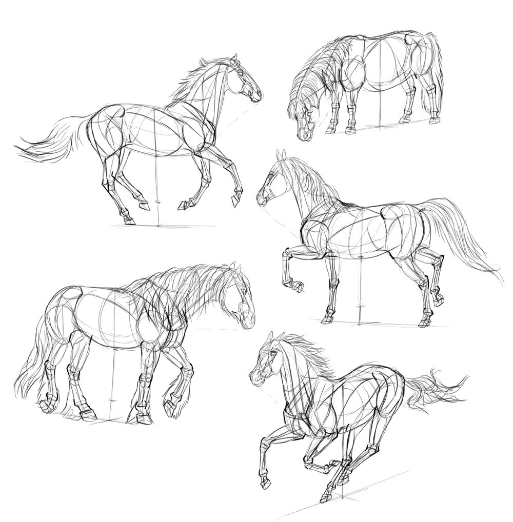 SketchBook Original How to Draw Horses Monika Zagrobelna