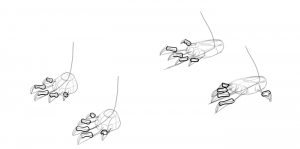 SketchBook Original: How to Draw Lizards – Monika Zagrobelna