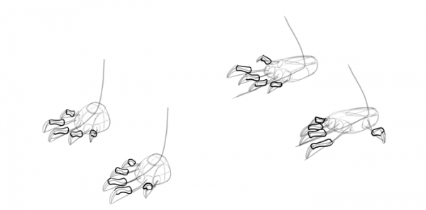 SketchBook Original: How to Draw Lizards – Monika Zagrobelna