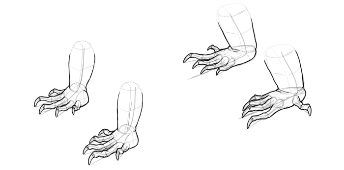 SketchBook Original: How to Draw Lizards – Monika Zagrobelna