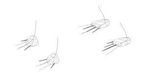 SketchBook Original: How to Draw Lizards – Monika Zagrobelna