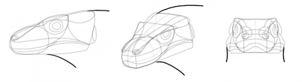 SketchBook Original: How to Draw Lizards – Monika Zagrobelna