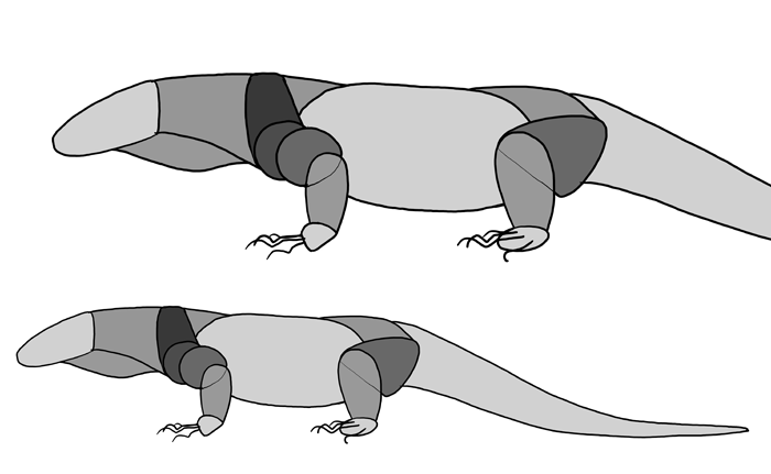 Как нарисовать комодского варана