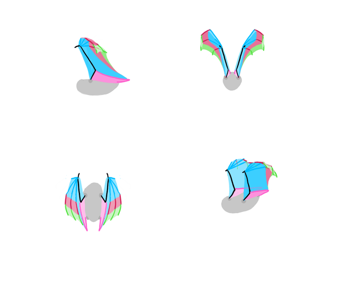 how-to-draw-wings-bat-fligh-frames-11
