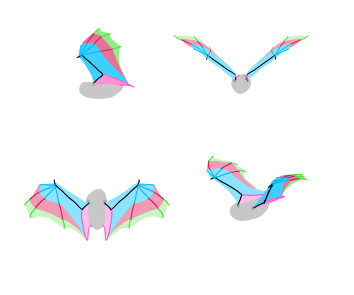 How to draw wings. Смотреть фото How to draw wings. Смотреть картинку How to draw wings. Картинка про How to draw wings. Фото How to draw wings