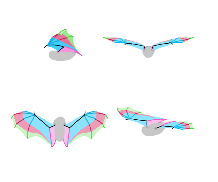 How to draw wings. Смотреть фото How to draw wings. Смотреть картинку How to draw wings. Картинка про How to draw wings. Фото How to draw wings