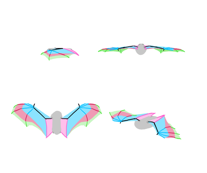 How to draw wings. Смотреть фото How to draw wings. Смотреть картинку How to draw wings. Картинка про How to draw wings. Фото How to draw wings