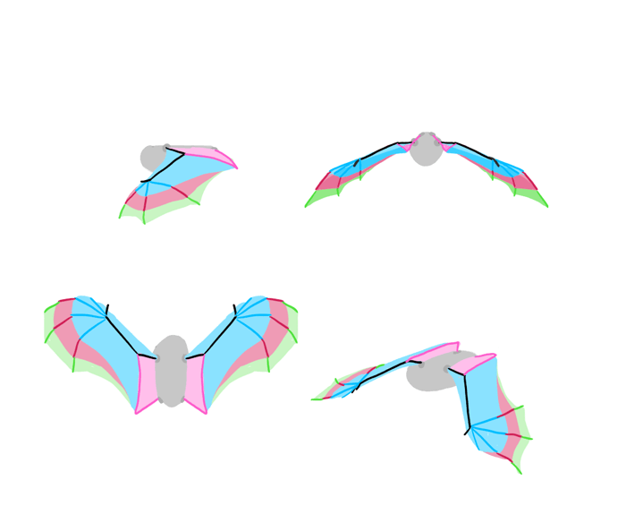 How to draw wings. Смотреть фото How to draw wings. Смотреть картинку How to draw wings. Картинка про How to draw wings. Фото How to draw wings