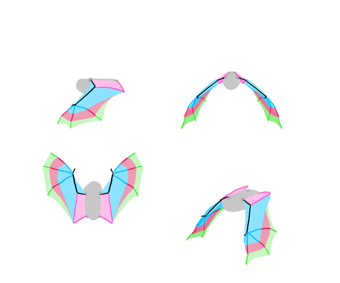 How to draw wings. Смотреть фото How to draw wings. Смотреть картинку How to draw wings. Картинка про How to draw wings. Фото How to draw wings