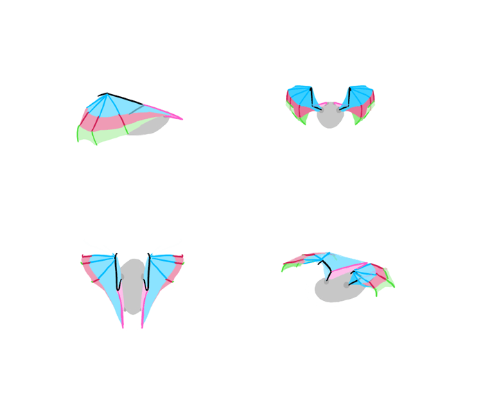 How to draw wings. Смотреть фото How to draw wings. Смотреть картинку How to draw wings. Картинка про How to draw wings. Фото How to draw wings