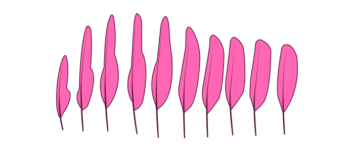How to draw wings. Смотреть фото How to draw wings. Смотреть картинку How to draw wings. Картинка про How to draw wings. Фото How to draw wings