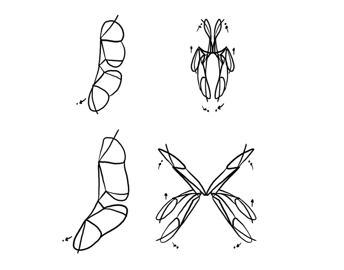 How to draw wings. Смотреть фото How to draw wings. Смотреть картинку How to draw wings. Картинка про How to draw wings. Фото How to draw wings