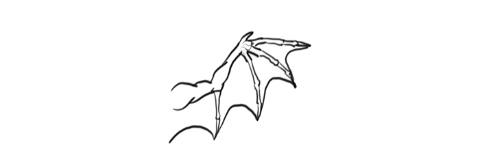 How to draw wings. Смотреть фото How to draw wings. Смотреть картинку How to draw wings. Картинка про How to draw wings. Фото How to draw wings