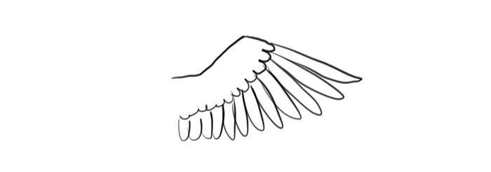 dove wings drawing