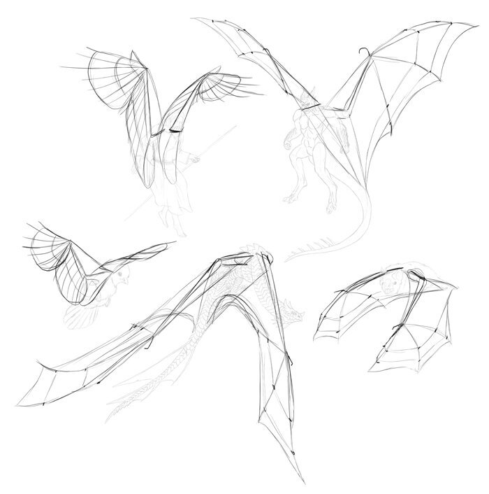 how-to-draw-wings-step-by-step-8