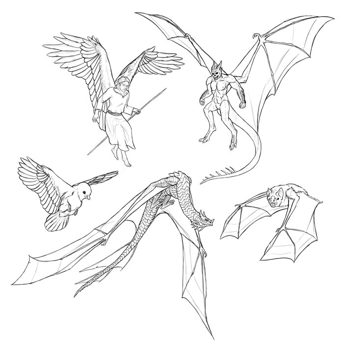 How To Draw Feathered Angel Wings Step By Step