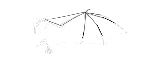 How to draw wings. Смотреть фото How to draw wings. Смотреть картинку How to draw wings. Картинка про How to draw wings. Фото How to draw wings