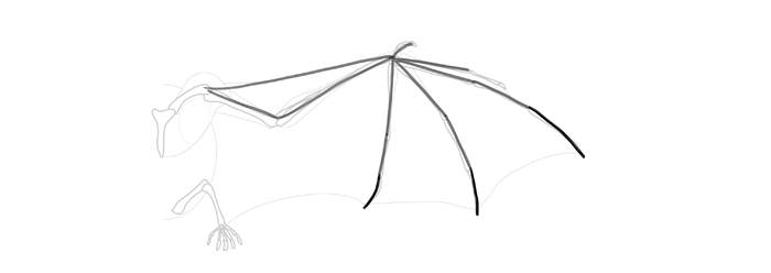 How to draw wings. Смотреть фото How to draw wings. Смотреть картинку How to draw wings. Картинка про How to draw wings. Фото How to draw wings