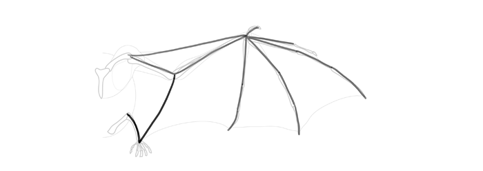 How to draw wings. Смотреть фото How to draw wings. Смотреть картинку How to draw wings. Картинка про How to draw wings. Фото How to draw wings