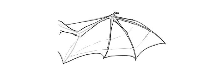 How to draw wings. Смотреть фото How to draw wings. Смотреть картинку How to draw wings. Картинка про How to draw wings. Фото How to draw wings